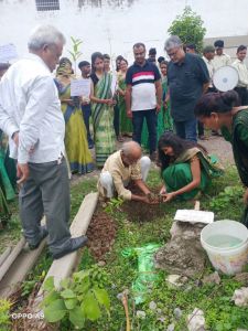 वृक्षारोपण  कार्यक्रम '' वन महोत्सव''